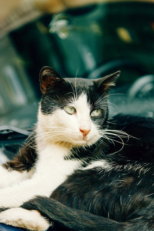 Путешествие в Стамбул