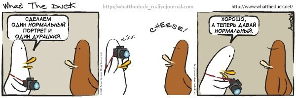What The Duck Comic Strips. Фотограф в Москве. Екатерина Митина