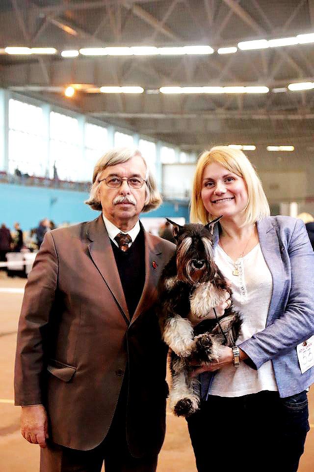 Питомник Делинсо Бэлэнс, щенки цвергшнауцера, купить щенка цвергшнауцера, питомник цвергшнауцеров, кобель цвергшнауцера для вязки, щенок цвергшнауцера, питомник цвергшнауцеров, черный с серебром, цверг, лучший питомник в беларуси, питомник цвергшнауцеров минск