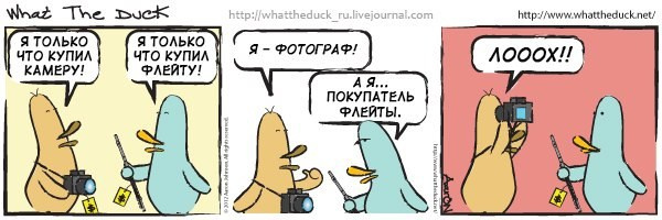 What The Duck Comic Strips. Фотограф в Москве. Екатерина Митина