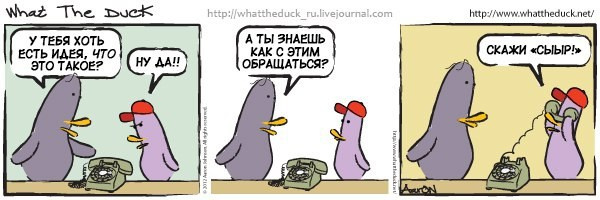 What The Duck Comic Strips. Фотограф в Москве. Екатерина Митина