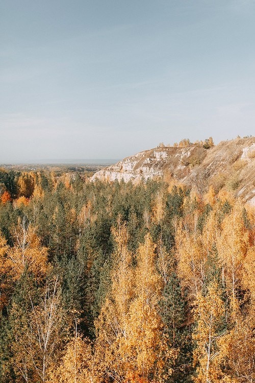 Моя вторая золотая осень