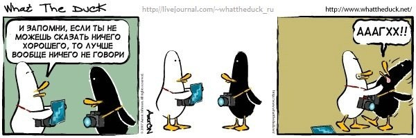 What The Duck Comic Strips. Фотограф в Москве. Екатерина Митина