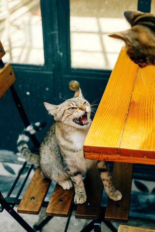 Путешествие в Стамбул