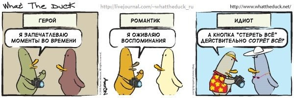 What The Duck Comic Strips. Фотограф в Москве. Екатерина Митина
