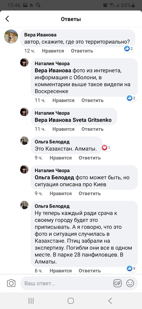 Мой монохромный друг. Plechinta Ekaterina — documentary photographer