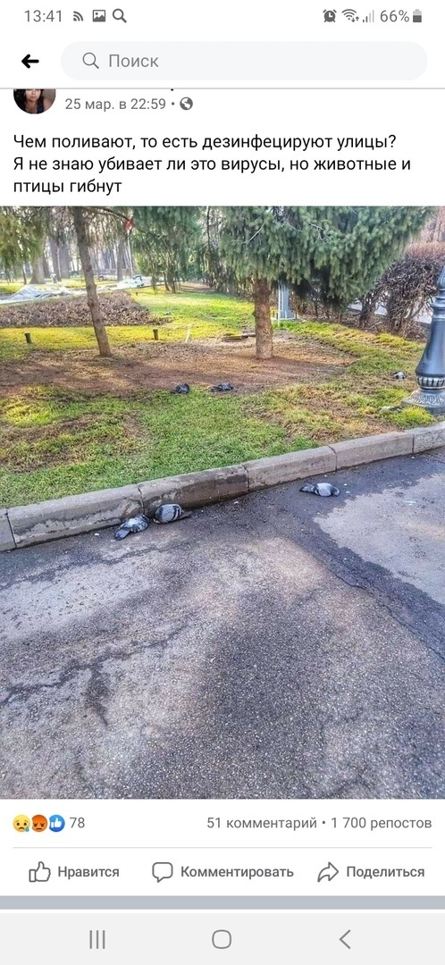 Мой монохромный друг. Plechinta Ekaterina — documentary photographer