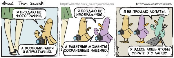 What The Duck Comic Strips. Фотограф в Москве. Екатерина Митина