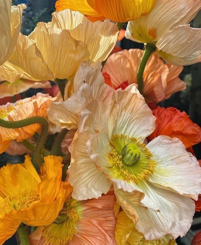 Приглашение на свадьбу