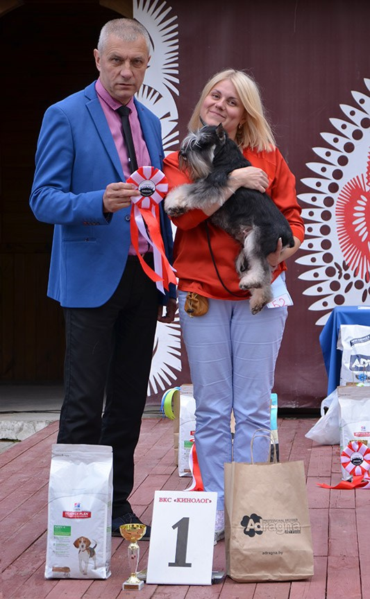 #delinsobalance #цвергшнауцер #питомникцвергшнауцеров #цвергшнауцерыбеларуси #питомникцвергшнауцеровбеларусь