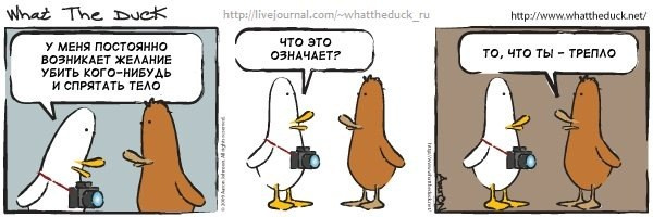 What The Duck Comic Strips. Фотограф в Москве. Екатерина Митина