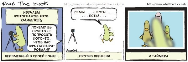 What The Duck Comic Strips. Фотограф в Москве. Екатерина Митина