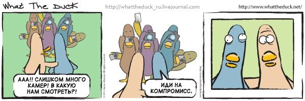 What The Duck Comic Strips. Фотограф в Москве. Екатерина Митина