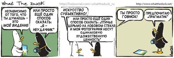 What The Duck Comic Strips. Фотограф в Москве. Екатерина Митина