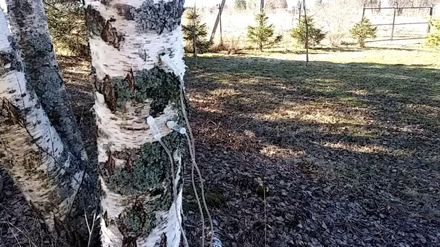 Вся природа оживает. Эко отдых в Подмосковье в эко-отеле Марии Гиппенрейтер