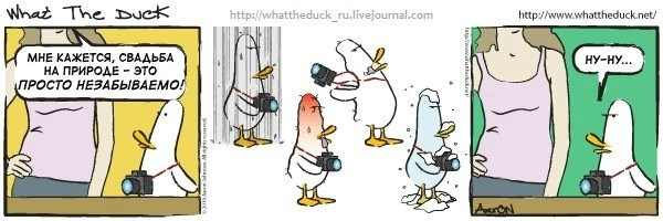 What The Duck Comic Strips. Фотограф в Москве. Екатерина Митина