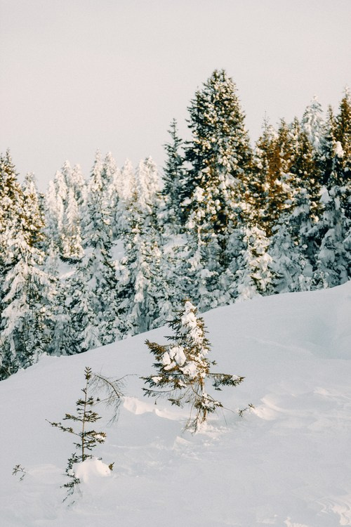 Горнолыжный курорт Годердзи