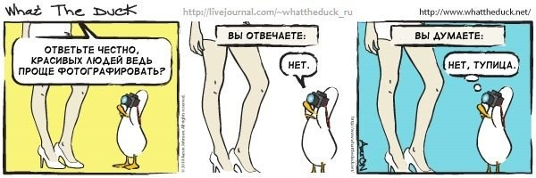 What The Duck Comic Strips. Фотограф в Москве. Екатерина Митина