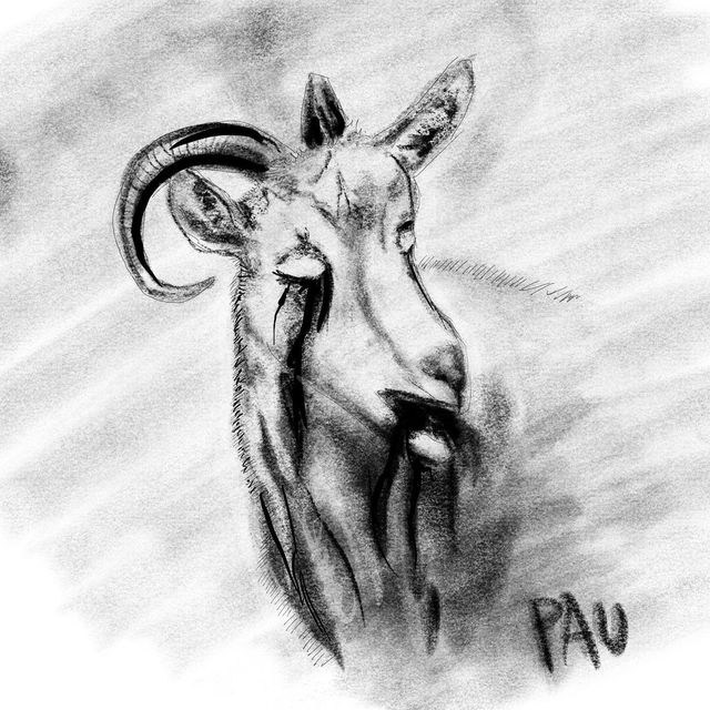 Digital. Pauline limpoo, media artist