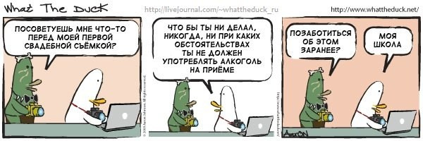 What The Duck Comic Strips. Фотограф в Москве. Екатерина Митина