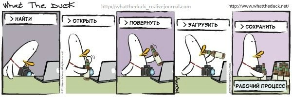 What The Duck Comic Strips. Фотограф в Москве. Екатерина Митина