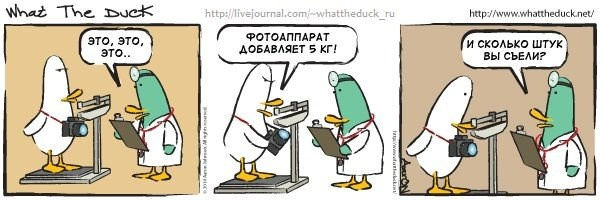 What The Duck Comic Strips. Фотограф в Москве. Екатерина Митина