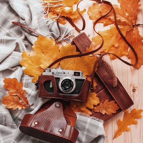 Полезная информация. Фотограф беременности и семейный фотограф в Могилеве, Минске Елена Шин