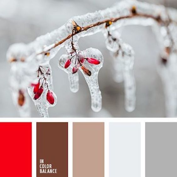 Полезная информация. Фотограф беременности и семейный фотограф в Могилеве, Минске Елена Шин