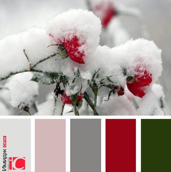 Полезная информация. Фотограф беременности и семейный фотограф в Могилеве, Минске Елена Шин