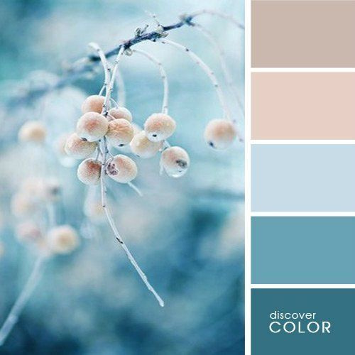 Полезная информация. Фотограф беременности и семейный фотограф в Могилеве, Минске Елена Шин