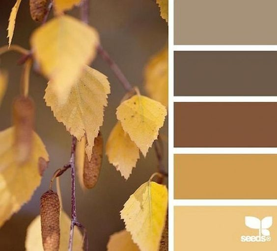 Полезная информация. Фотограф беременности и семейный фотограф в Могилеве, Минске Елена Шин