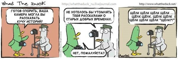 What The Duck Comic Strips. Фотограф в Москве. Екатерина Митина