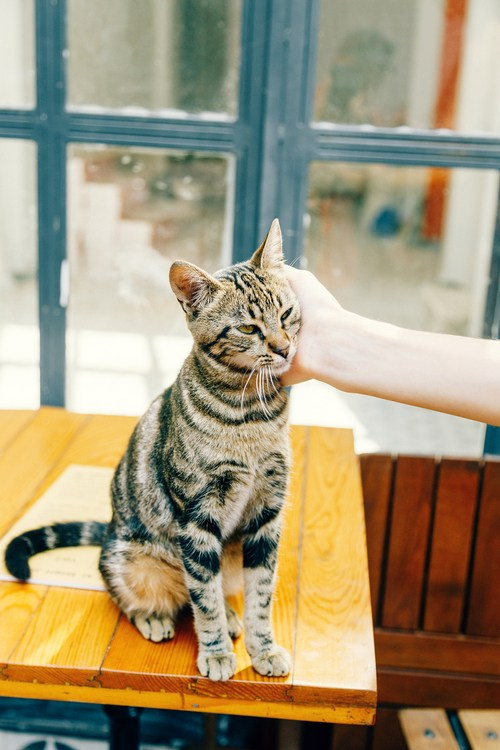 Путешествие в Стамбул