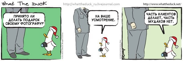 What The Duck Comic Strips. Фотограф в Москве. Екатерина Митина