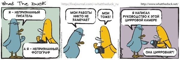 What The Duck Comic Strips. Фотограф в Москве. Екатерина Митина