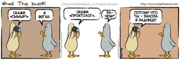 What The Duck Comic Strips. Фотограф в Москве. Екатерина Митина