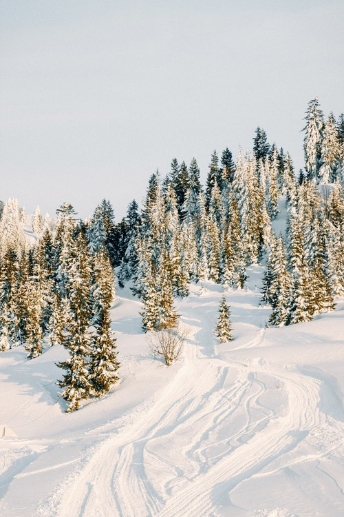 Горнолыжный курорт Годердзи