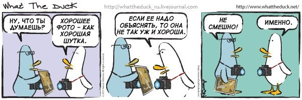 What The Duck Comic Strips. Фотограф в Москве. Екатерина Митина
