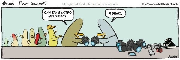 What The Duck Comic Strips. Фотограф в Москве. Екатерина Митина