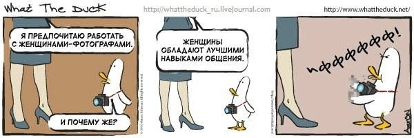 What The Duck Comic Strips. Фотограф в Москве. Екатерина Митина
