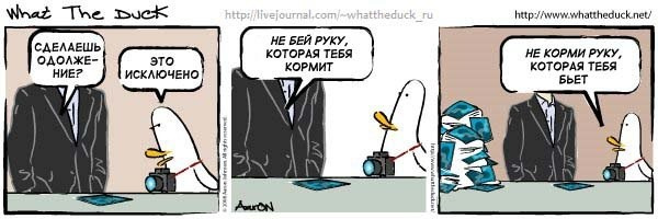 What The Duck Comic Strips. Фотограф в Москве. Екатерина Митина