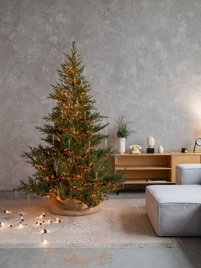 Фотостудия TRUEMAN — всё для комфортной и красивой съёмки. Фотограф в Минске Людмила Дутко