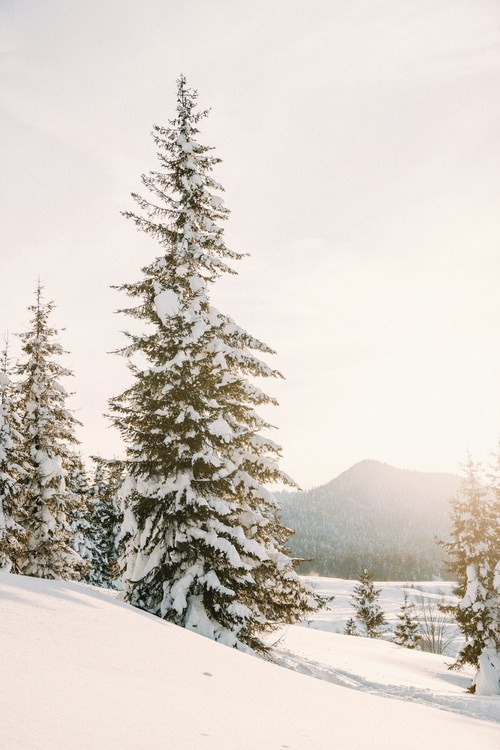 Горнолыжный курорт Годердзи