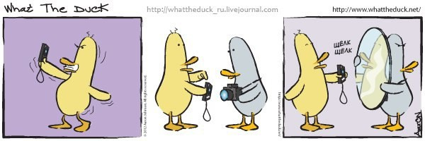 What The Duck Comic Strips. Фотограф в Москве. Екатерина Митина