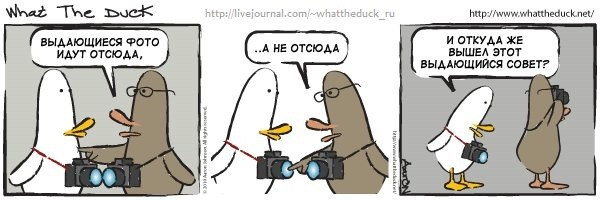 What The Duck Comic Strips. Фотограф в Москве. Екатерина Митина
