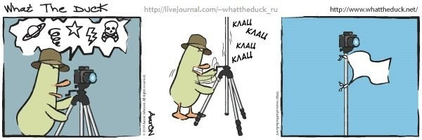 What The Duck Comic Strips. Фотограф в Москве. Екатерина Митина
