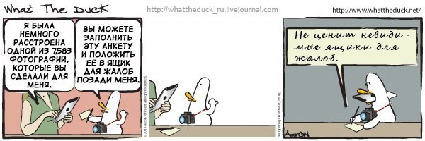 What The Duck Comic Strips. Фотограф в Москве. Екатерина Митина