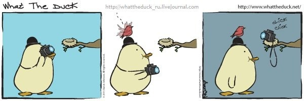 What The Duck Comic Strips. Фотограф в Москве. Екатерина Митина