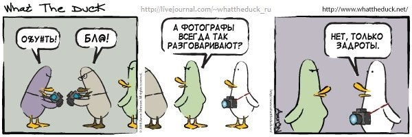 What The Duck Comic Strips. Фотограф в Москве. Екатерина Митина