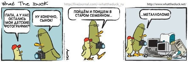 What The Duck Comic Strips. Фотограф в Москве. Екатерина Митина